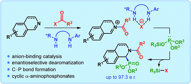 Graphical abstract: Enantioselective dearomatization of isoquinolines by anion-binding catalysis en route to cyclic α-aminophosphonates