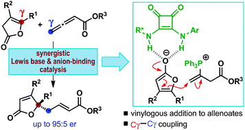 Graphical abstract: Synergistic Lewis base and anion-binding catalysis for the enantioselective vinylogous addition of deconjugated butenolides to allenoates